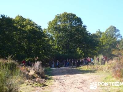 Castañar de la Sierra de San Vicente - Convento del Piélago;trekking españa;senderismo rutas